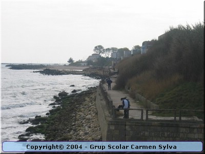 Coastwatch2004 058.jpg