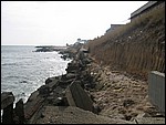 Coastwatch2004 047.jpg