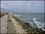 Coastwatch2004 049.jpg