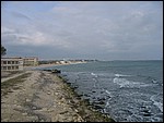 Coastwatch2004 052.jpg