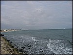 Coastwatch2004 053.jpg