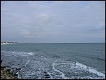 Coastwatch2004 056.jpg