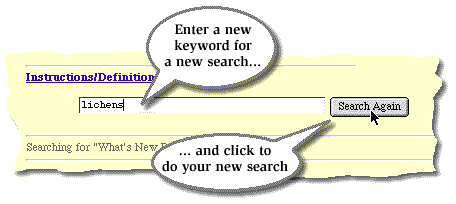 Do A New Search