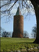 the tower 1365.jpg