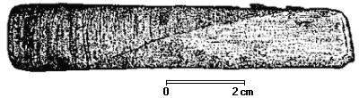 Solen vagina image