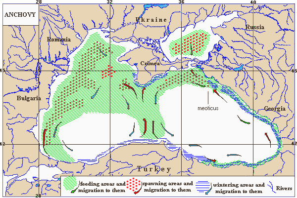 3b11am.gif (30723 bytes)