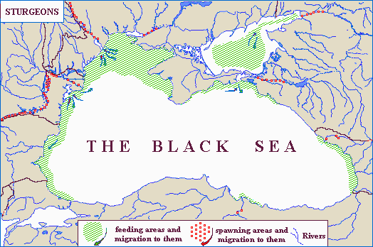 3b113m.gif (23592 bytes)