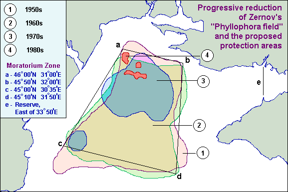 3b311m.gif (14315 bytes)